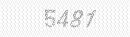 Visual security code — type the characters shown in the image